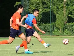 寂静王冠为什么虐